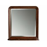 Reprise Storage Mirror