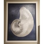 Silver Shell on Indigo